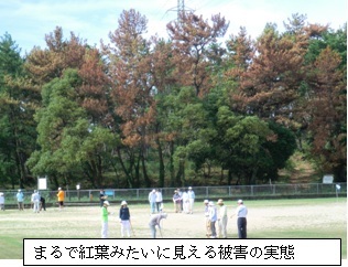 20110918blog3.jpg