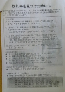 20120204blog11.jpg